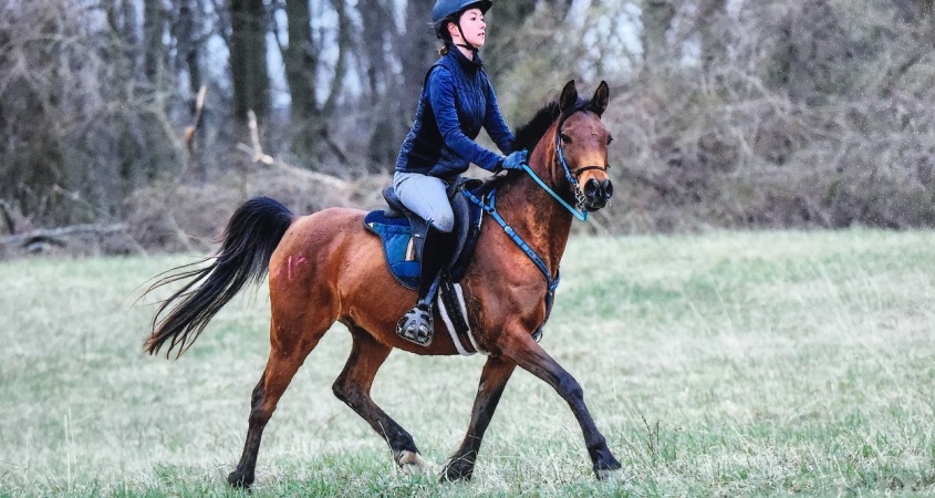 How Endurance Riding Healed Me – Equestrian Adventuresses™