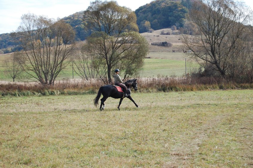 Krystal is riding a black horse on a grass field in Romania