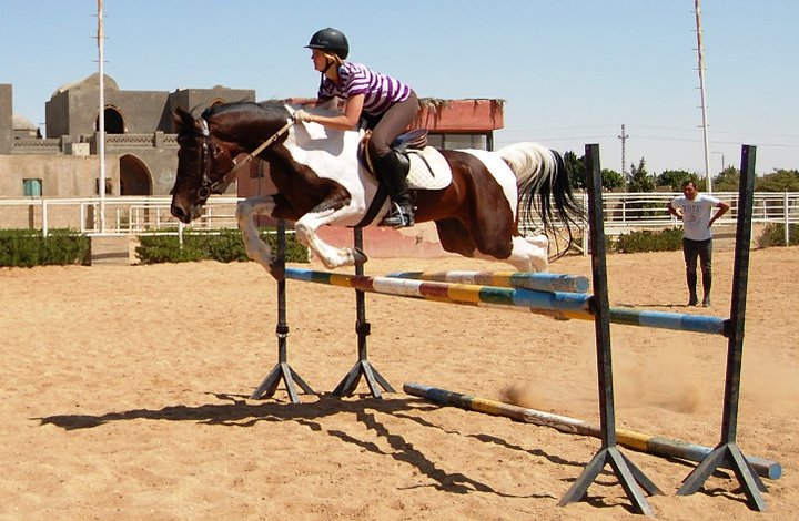 Krystal is clearing a showjumping fence in Egypt