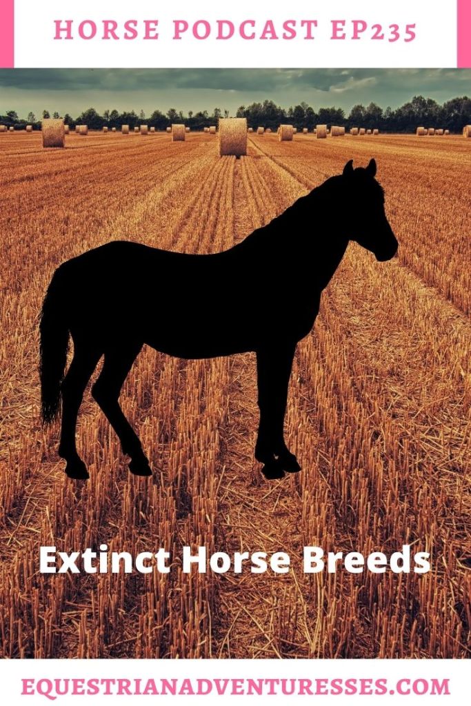 Horse and travel podcast pin - Ep: 235 Extinct Horse Breeds