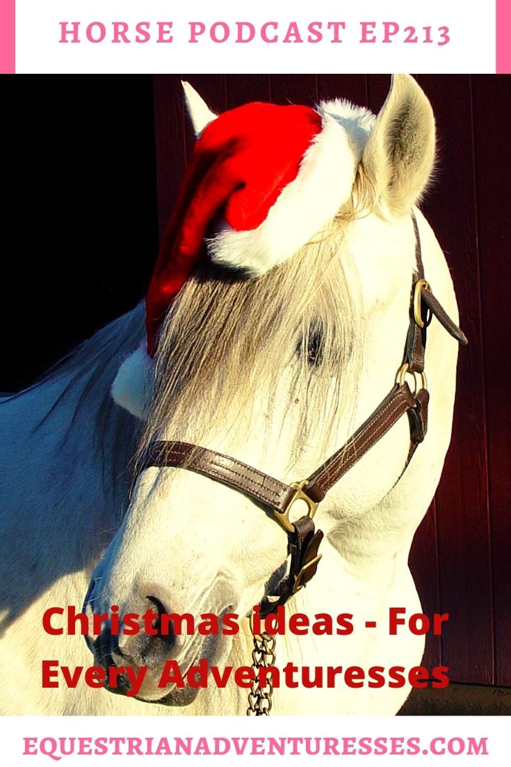 Horse and travel podcast pin - Ep213: Christmas ideas - For Every Adventuresses
