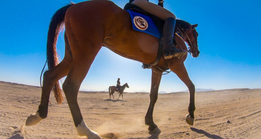 Horse riding in Luxor, Egypt