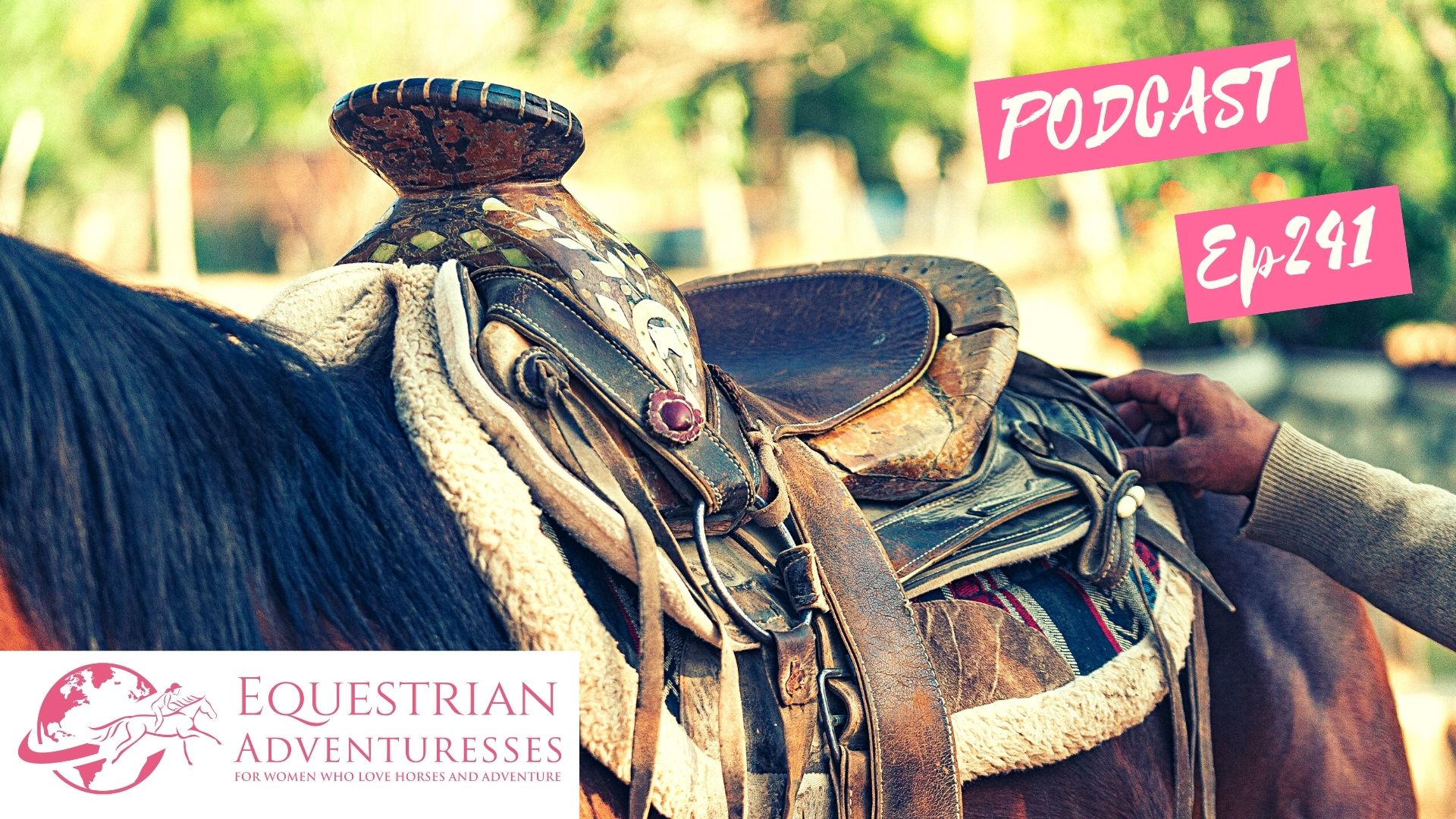 Equestrian Adventuresses Travel and Horse Podcast Ep 241 - Saddle Pads for Trail Riders