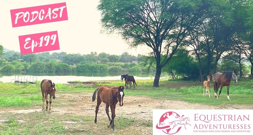 Equestrian Adventuresses Travel and Horse Podcast Ep 199 - Tales from the Life of a Horse Breeder