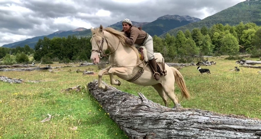 In Patagonia Horses and their riders have to overcome many obstacles.